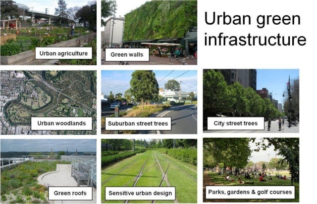 Urban green infrastructure_jpeg